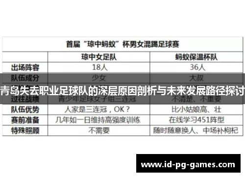 青岛失去职业足球队的深层原因剖析与未来发展路径探讨